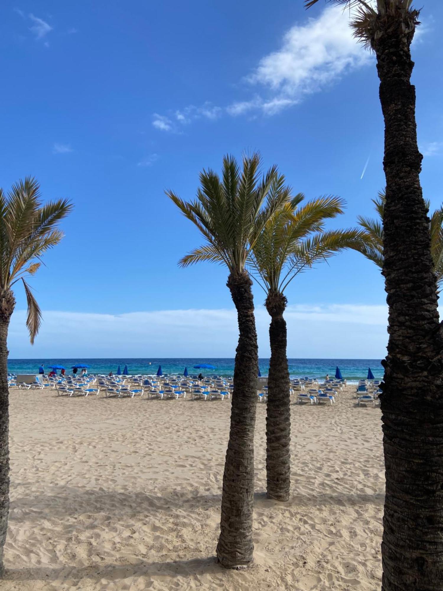 Levante Carlos V 1B Benidorm Exterior photo